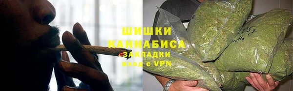 прущие грибы Вязники